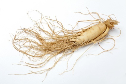 Ginseng