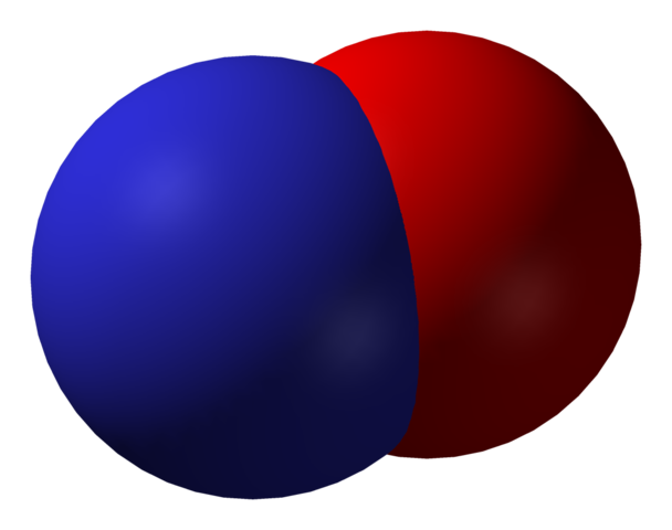 Nitric oxide