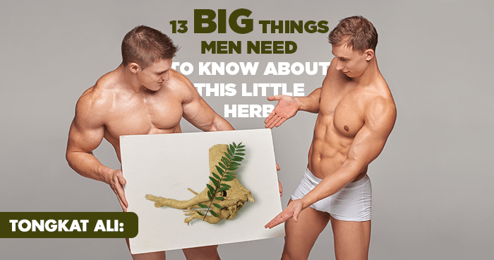 Tongkat-Ali-13-Big-Things-Men-Need-to-Know-About-This-Little-Herb