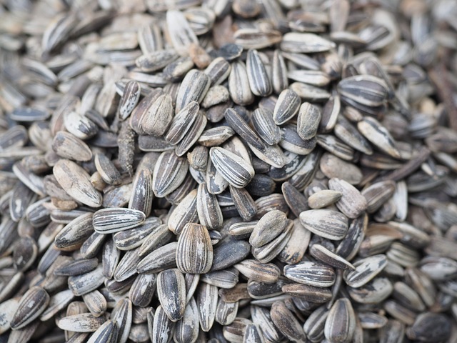 sunflower seeds