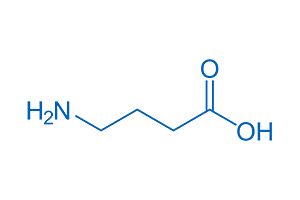 Gamma-Aminobutyric Acid Molecule